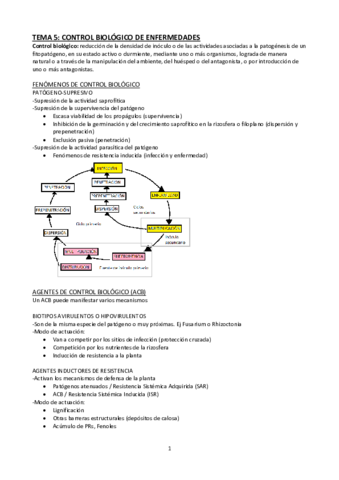 Tema-5-PC.pdf