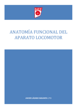 Anatomía sin dibujos 1er PARCIAL.pdf