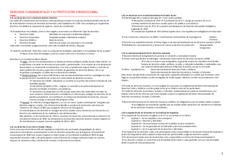 Derechos-Fundamentales.pdf