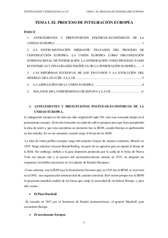 TEMA-1-EL-PROCESO-DE-INTEGRACION-EUROPEA.pdf