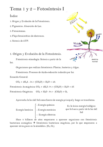 Tema-1-y-2-Fotosintesis-I.pdf