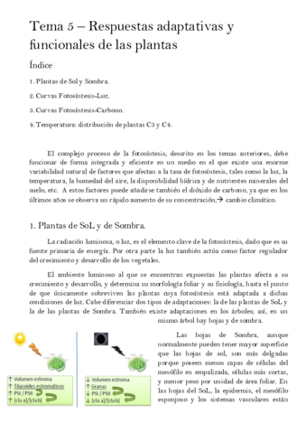 Tema-5-Respuestas-adaptativas-y-funcionales-de-las-plantas.pdf