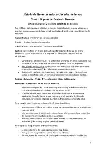 Estado-y-Sociedad-del-Bienestar.pdf