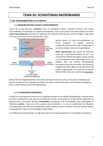TEMA-20-MICRO.pdf