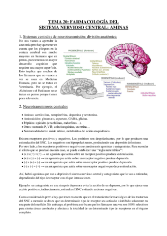 Tema-20-Farmacologia-del-SNC.pdf