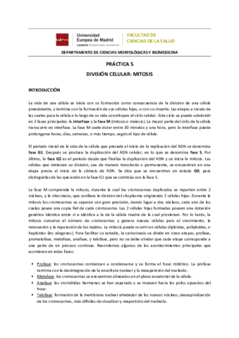Práctica 5. División celular Mitosis.pdf