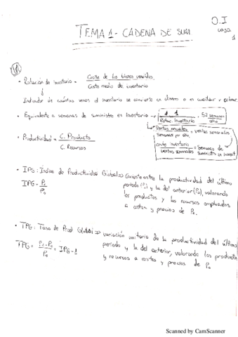 Organizacion-Industrial.pdf