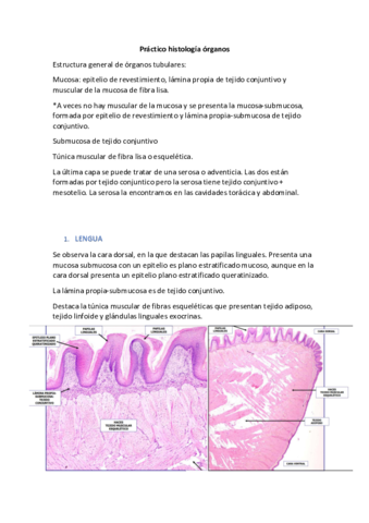 Apuntes-examen-microscopio.pdf