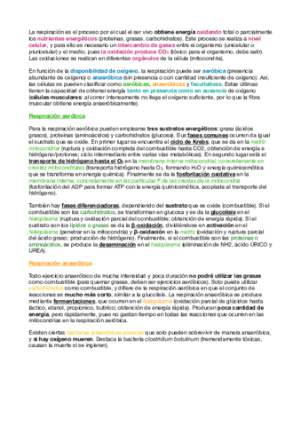 3. RESPIRACIÓN.pdf