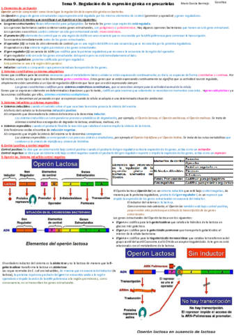 T9-Regulacion-de-la-expresion-genica-en-procariotas.pdf
