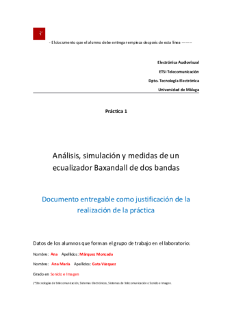 P1Plantilla-Baxandall.pdf