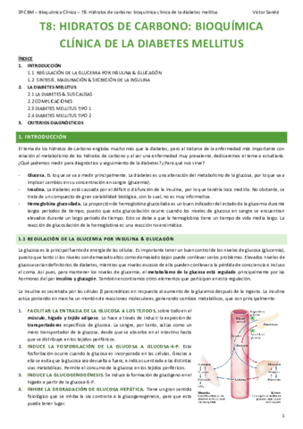 BQ-T8-Hidratos-de-carbono-Diabetes.pdf