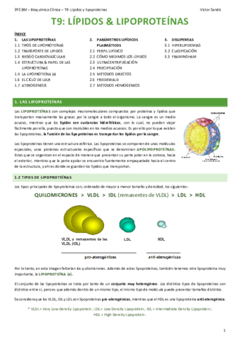 BQ-T9-Lipidos.pdf