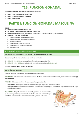 BQ-T15-Funcion-gonadal.pdf