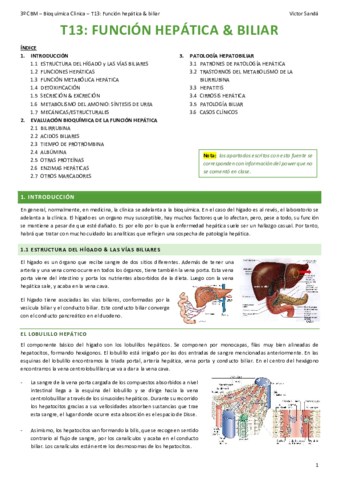 BQ-T13-Funcion-hepatica-y-biliar.pdf