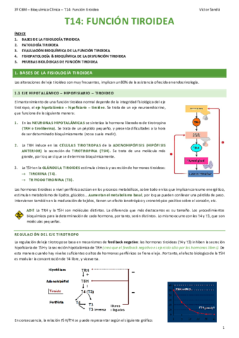 BQ-T14-Funcion-tiroidea.pdf