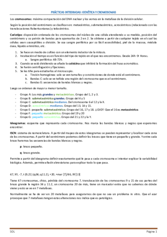 PRACTICAS-CARIOTIPOS.pdf