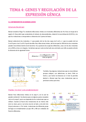 TEMA-4.pdf