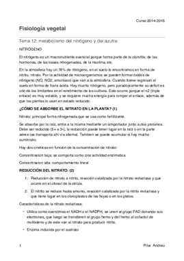 Tema 12.pdf