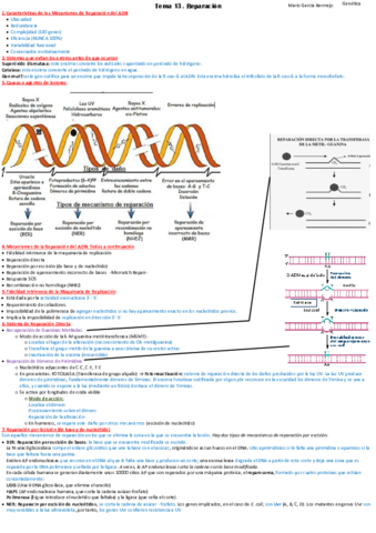 T13-reparacion.pdf