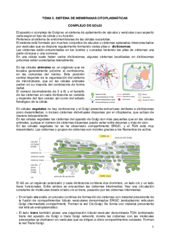 Tema-5-Sistemas-de-membranas-citoplasmaticas.pdf
