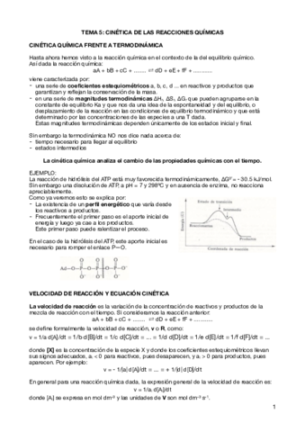 T5-Cinetica-de-las-reacciones-quimicas.pdf