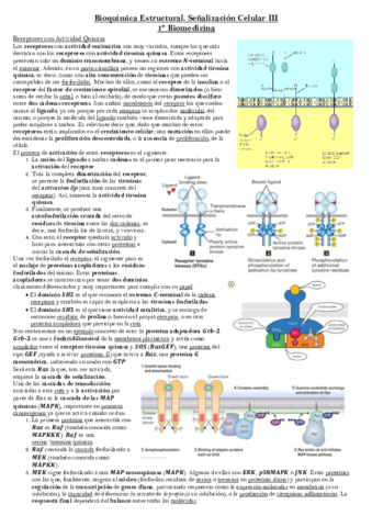 Senalizacion-3.pdf