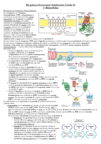Senalizacion-2.pdf
