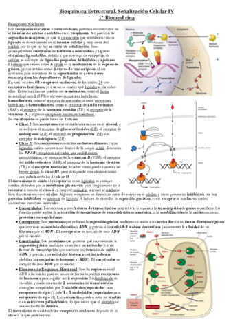 Senalizacion-4.pdf