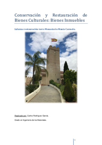 informe-torre-monte-carmelo.pdf
