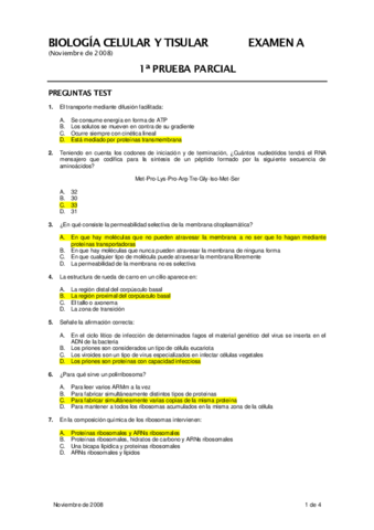 Exámen Primer parcial corregido.pdf