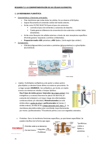 RESUMENT2COMPARTIMENTACIONECUCARI.pdf