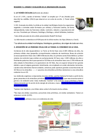 RESUMENT1ORIGENEVOLUCIONCELULAR.pdf
