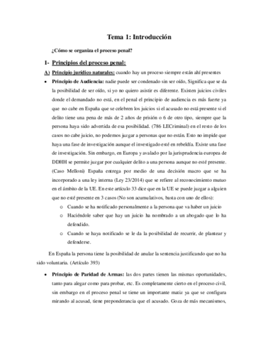 APUNTES-PROCESAL-II-TOTAL-PDF.pdf