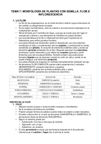 Tema-7.pdf