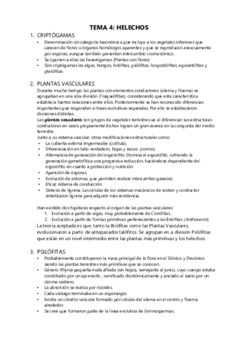 TEMA-4.pdf