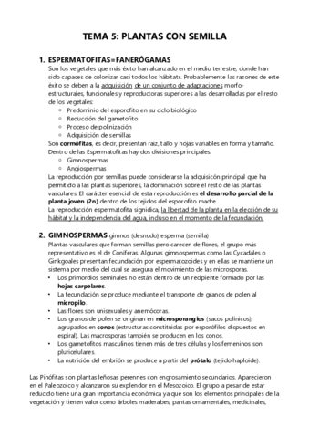 TEMA-5.pdf