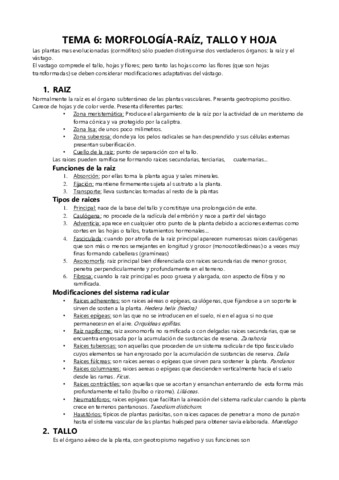 TEMA-6.pdf