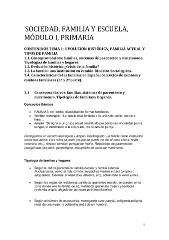 sfe-1-MODULO.pdf