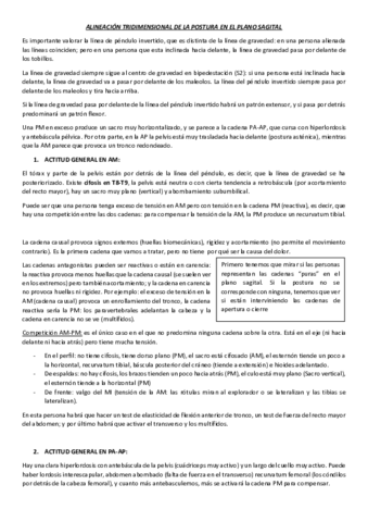 ALINEACION-TRIDIMENSIONAL-DE-LA-POSTURA-EN-EL-PLANO-SAGITAL.pdf