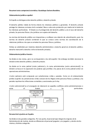Resumen-texto-competencia-tematica.pdf