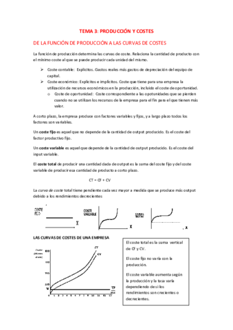 MICROECONOMIA-TEMA-3.pdf