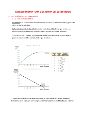 MICROECONOMIA-TEMA-1.pdf