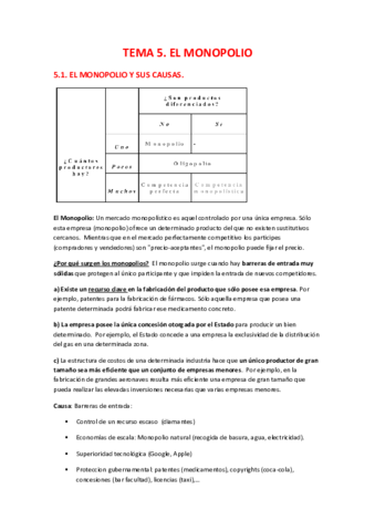 MICROECONOMIA-TEMA-5.pdf