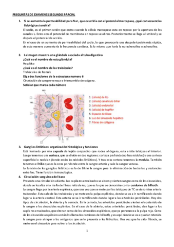 PREGUNTAS-DE-EXAMENES-SEGUNDO-PARCIAL-respondidas.pdf