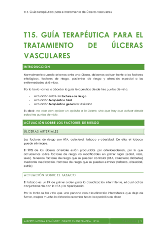 T15. Guía Terapéutica para el Tratamiento de Úlceras Vasculares AMR.pdf
