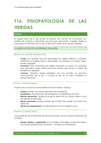 T16. Fisiopatología de las Heridas AMR.pdf