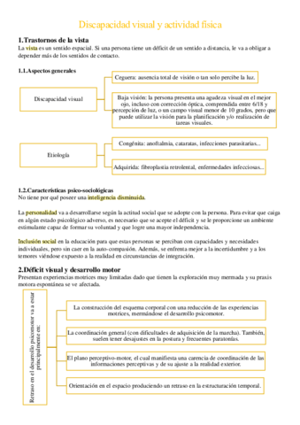 Tema-6-Discapacidad-visual-y-actividad-fisica.pdf