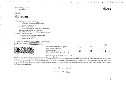 Copia-de-Inorganica-II-ASES.pdf