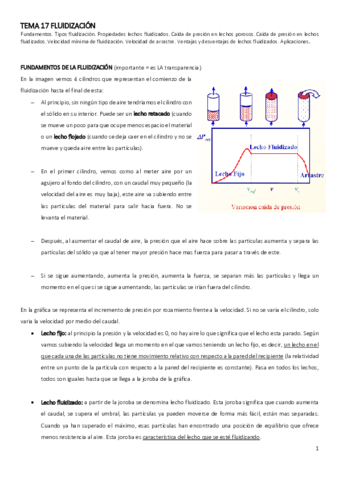 TEMA-17-FLUIDIZACION.pdf